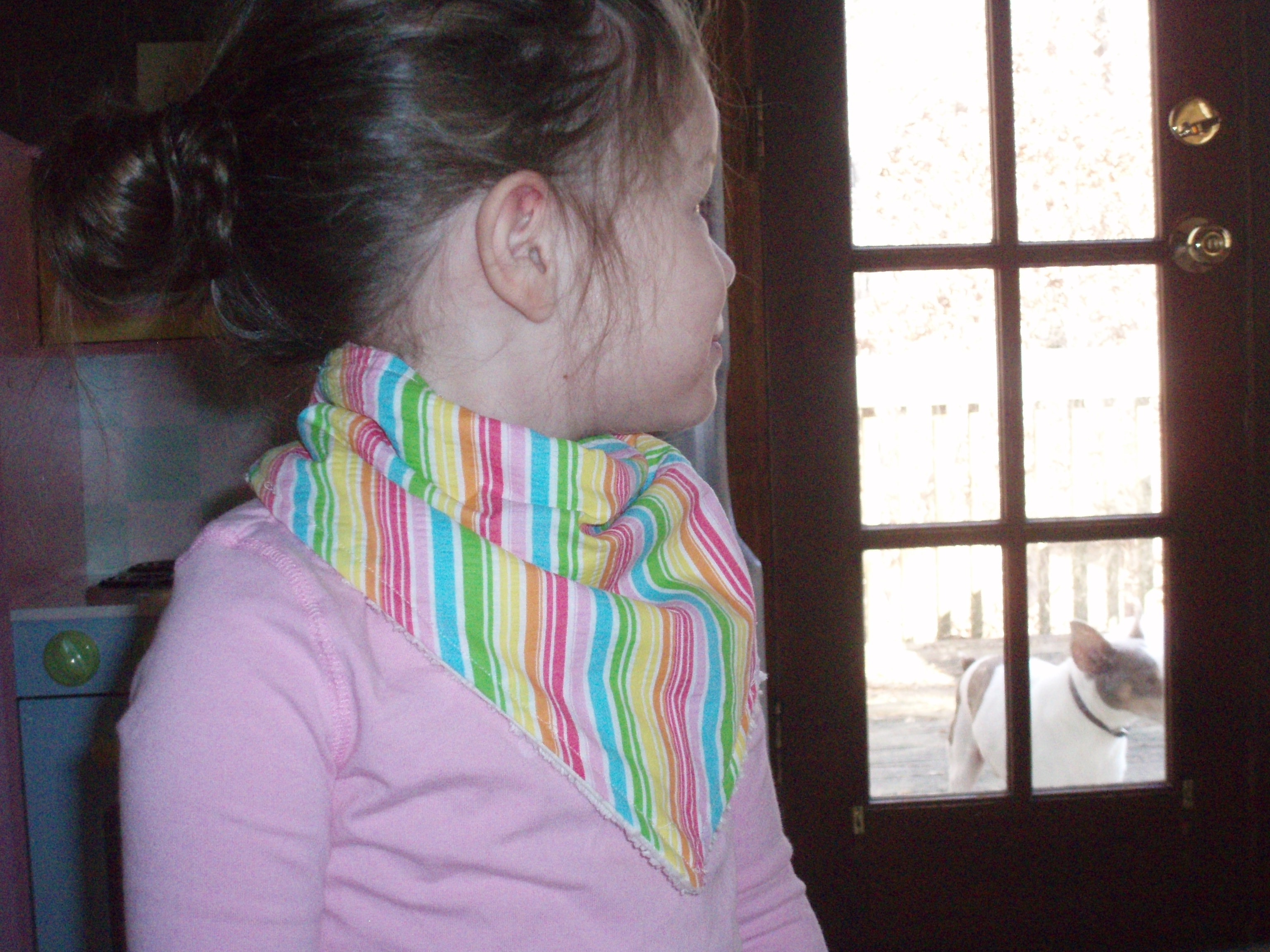 Toddler wearing a rainbow cowboy bib with little dog in the background.
