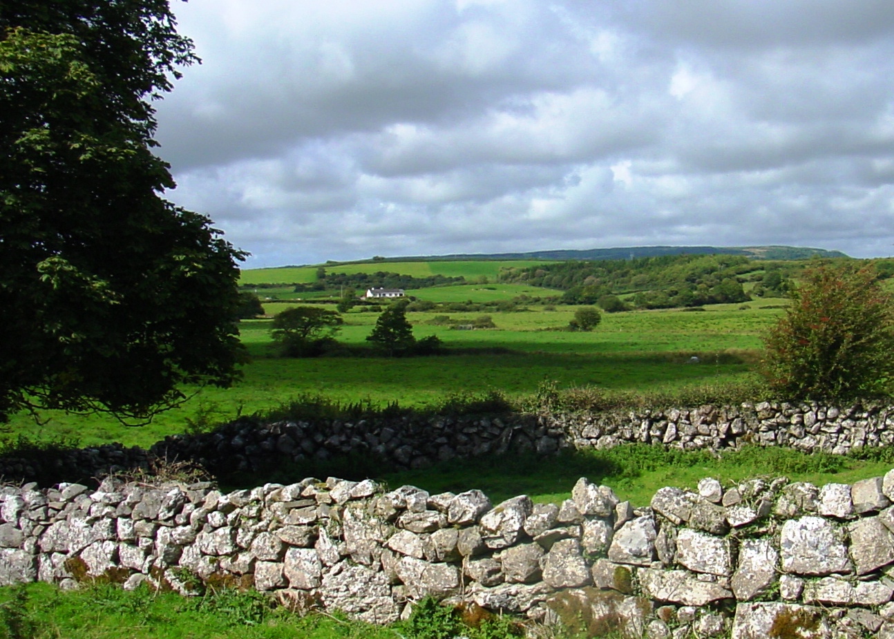 Picture of a field in Ireland with green grass, a few green trees, green shrubs interrupted by a short rock wall. 