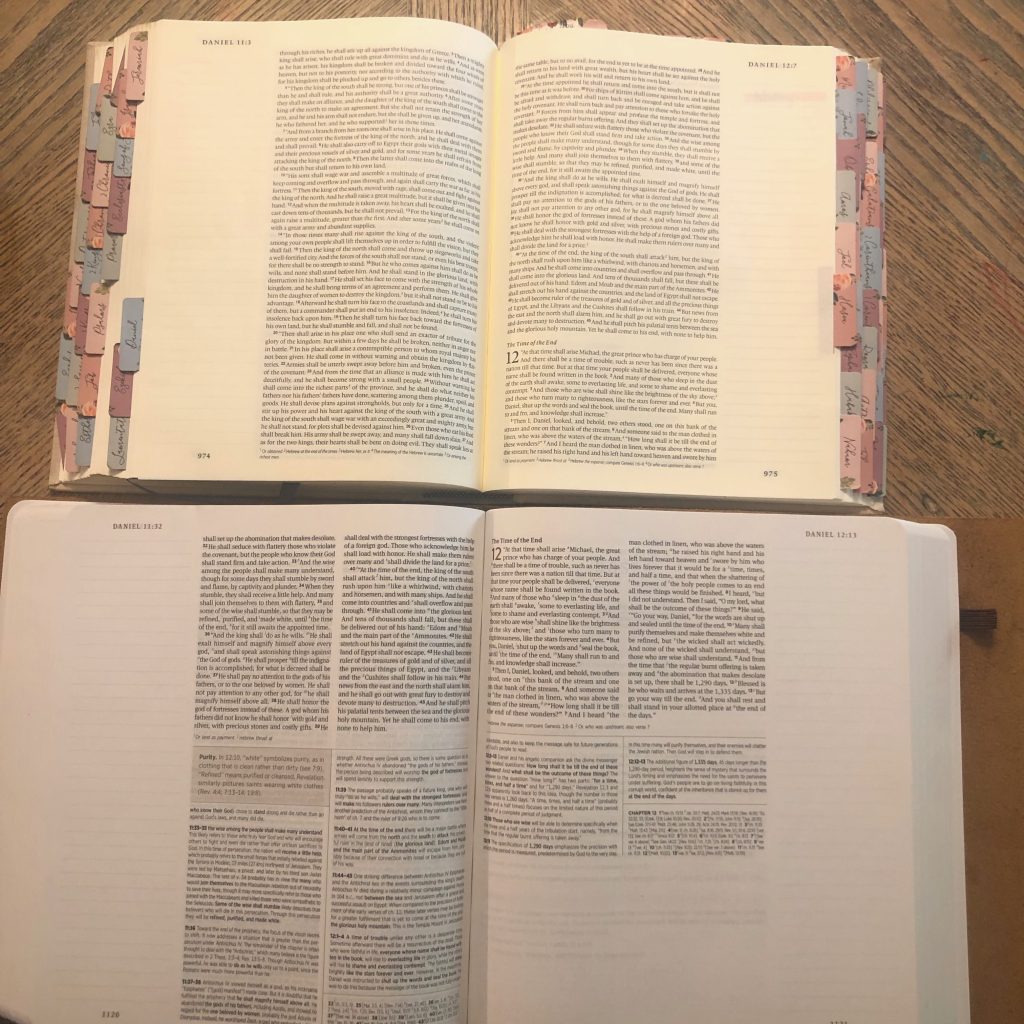 ESV Journaling Bible on top compared to the ESV Journaling Study Bible on bottom. 