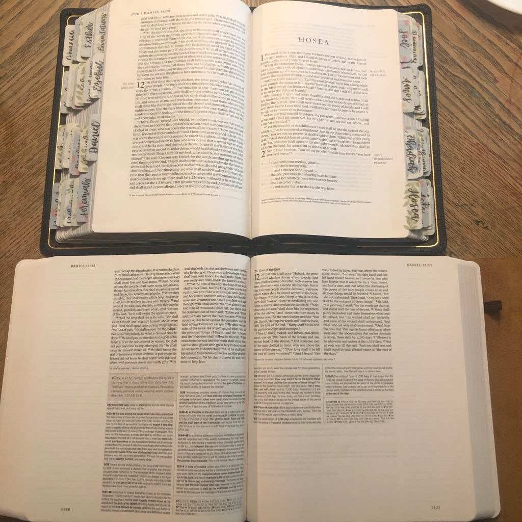 ESV Single Column Legacy Bible compared to the ESV Journaling Study Bible
