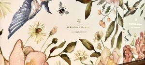 Close up of outside of Scripture Journal boxes with flowers, birds, and bees watercolor painted on. 