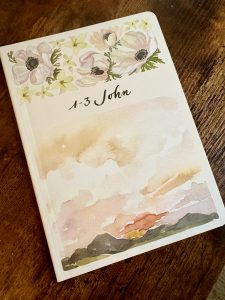 Book cover with watercolor sunset painted on bottom and flowers on the top with "1-3 John" written in cursive across the middle of the Scripture Journal. 
